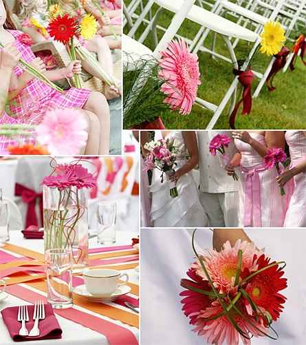 Les gerberas, une excellente option