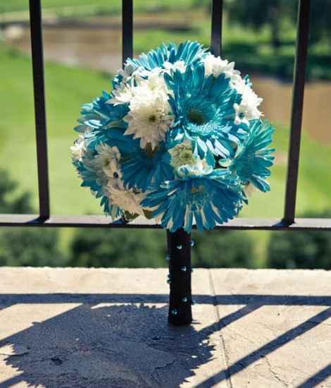 Les gerberas, une excellente option
