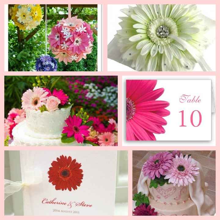 Les gerberas, une excellente option