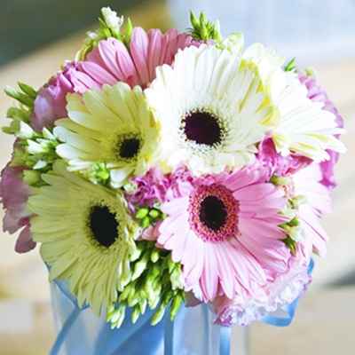Les gerberas, une excellente option