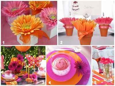 Les gerberas, une excellente option