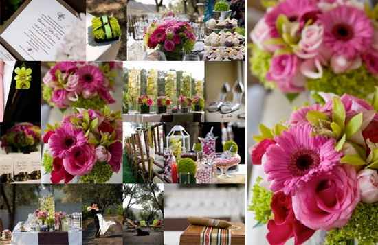 Les gerberas, une excellente option