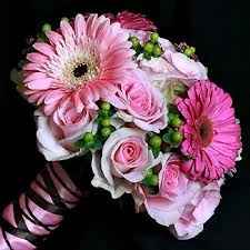 Les gerberas, une excellente option
