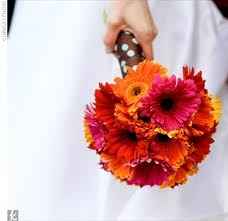 Les gerberas, une excellente option