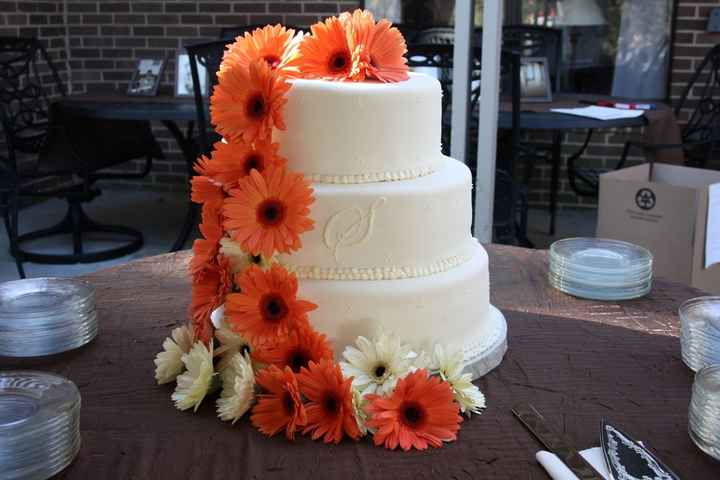 Les gerberas, une excellente option