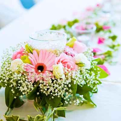 Les gerberas, une excellente option