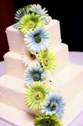 Les gerberas, une excellente option