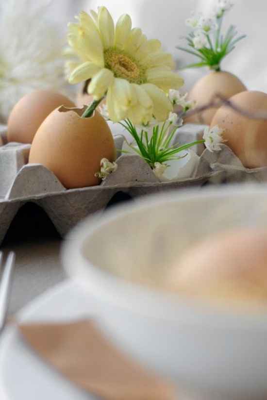 Et si même des coquilles d'oeufs pouvaient vous servir??