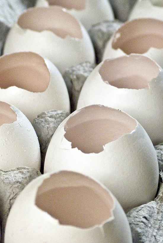 Et si même des coquilles d'oeufs pouvaient vous servir??