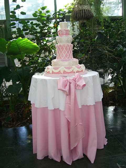 Le club du mariage rose