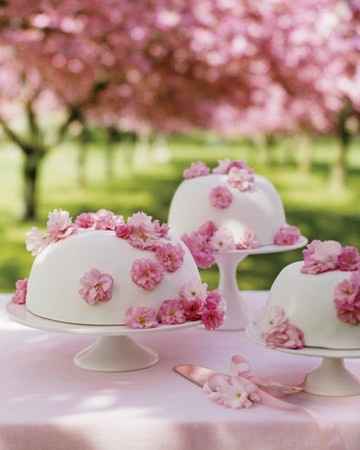 Le club du mariage rose