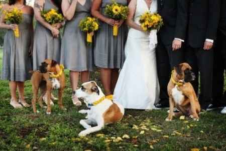 Le club du mariage jaune et gris