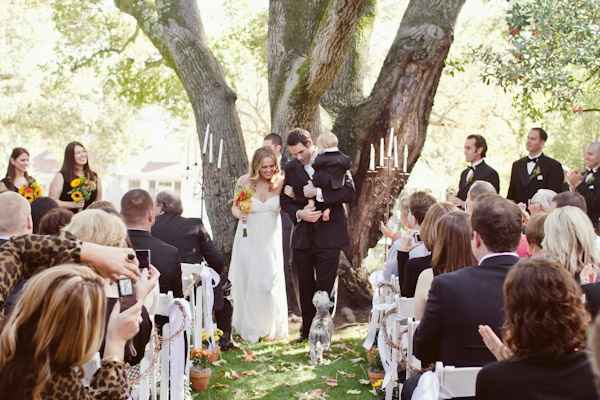 Emmener son animal de compagnie à son mariage 