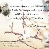 Nos cartes de remerciements - 2