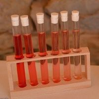 Tubes à essai et leur portoir