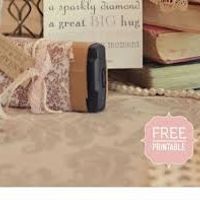 animation avec les appareils photos jetables