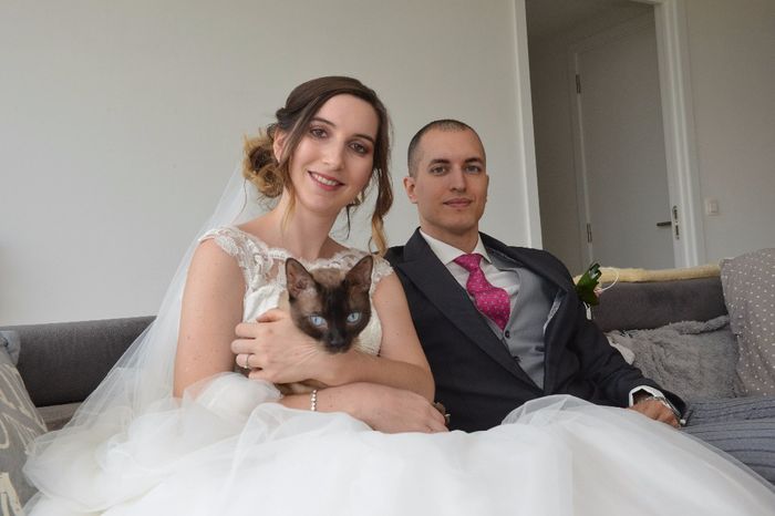 mariage chat 