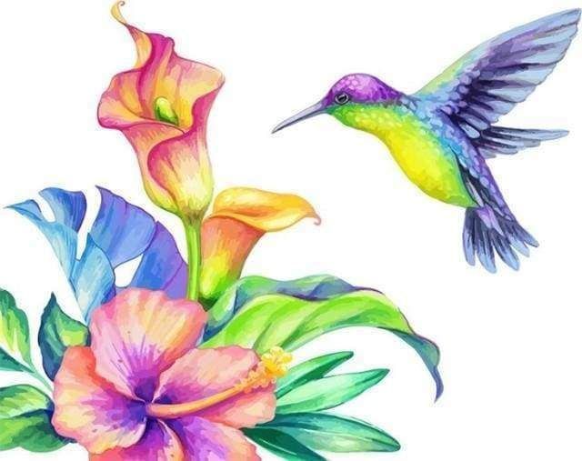 hibiscus et colibri mon tout