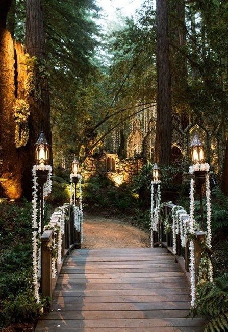 neverland