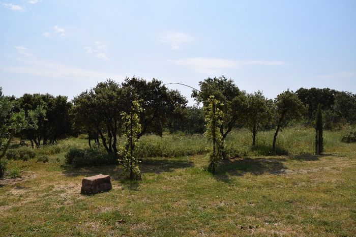 Arche pour la cérémonie