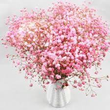 gypsophile et roses 4