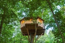 maison dans les arbres