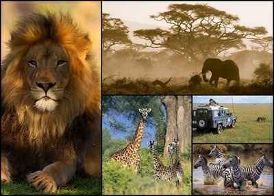 nos destinations si tout va bien