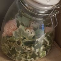 Le après,  les photos ❤❤❤ - 1