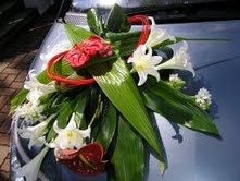 capot avant de la voiture