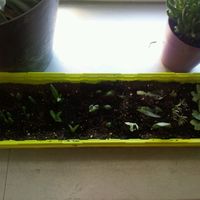 Cadeau aux invités... - 1