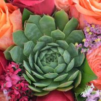 Je suis Mme r 😍 - 2