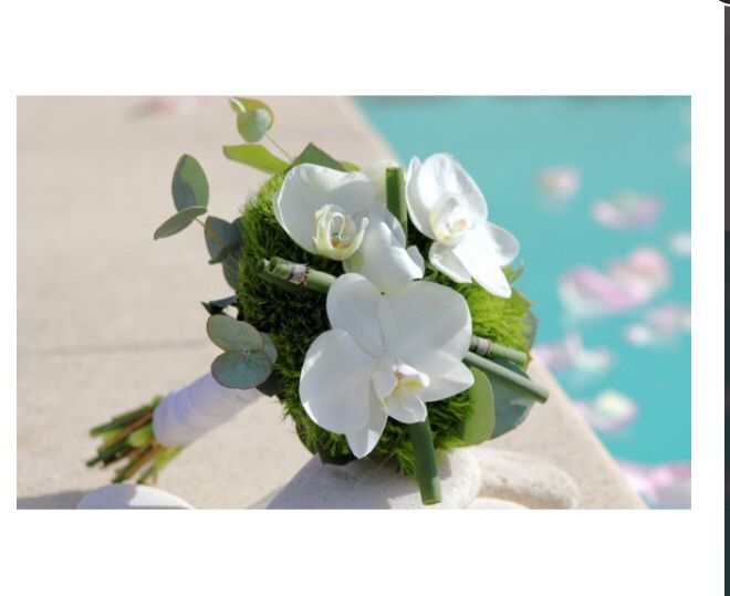 a vos bouquets ! - 4