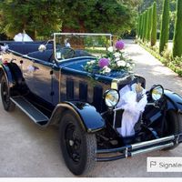 Le moyen de transport de tes rêves ?🤔 - 1