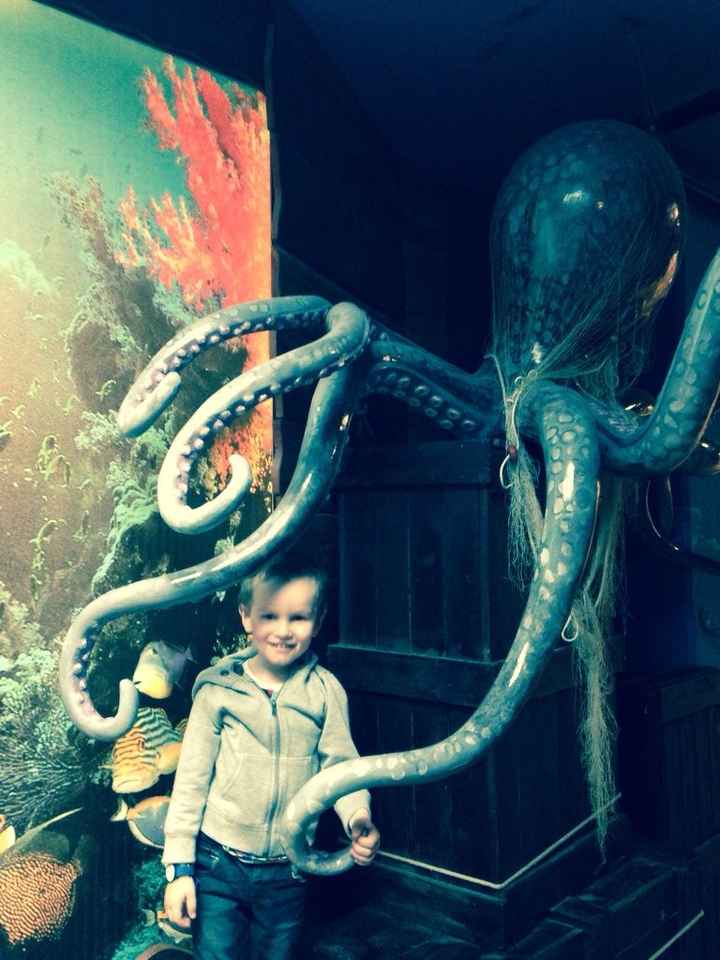 Combien de mamans ou futures mamans parmi nous ??? - 2