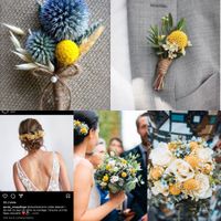 Housses de chaises ou pas? - 1