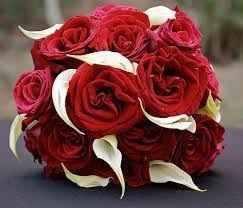Roses et Arum