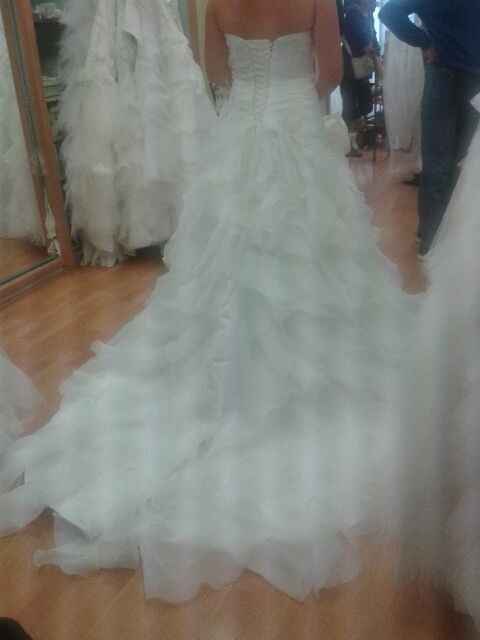 Essai Robe Dos