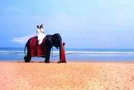 Destination Voyage de Noce