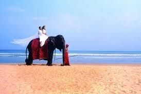 Destination Voyage de Noce
