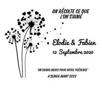 Graines à semer cadeaux invités - 1