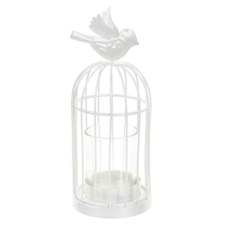 Photophore cage oiseaux