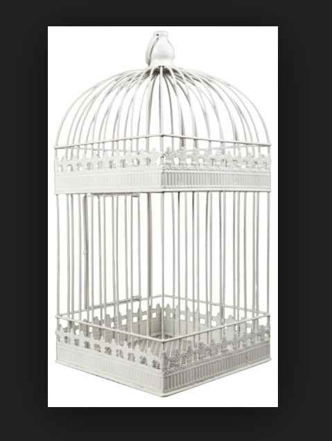 urne cage oiseau