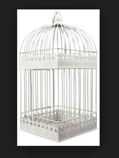Cage oiseaux pour urne