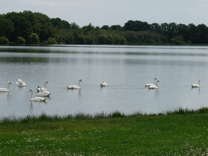 Lac de la Tricherie
