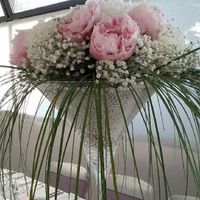 Décorer une salle polyvalente - 2