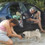 Renaud