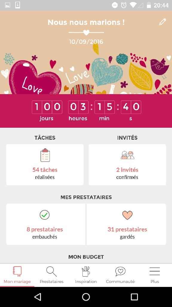 Oú en sont vos compteurs Mariages.net ? - 1
