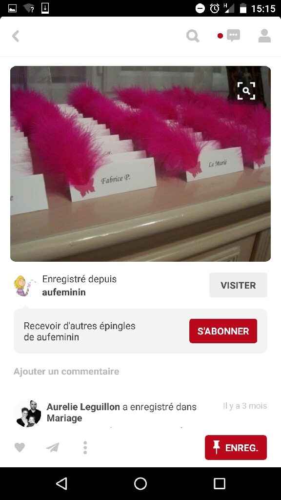 Idee deco et bon plan theme plume et diamant blanc et gris - 7