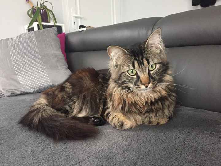 Nos amis les bêtes - 1