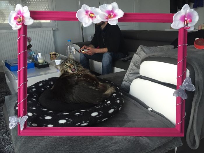 Diy coussin et cadre - 3